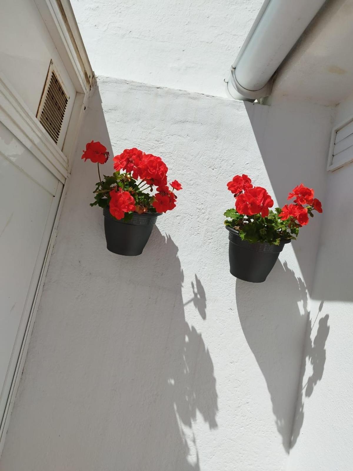 Apartamento Plumaria Málaga Exterior foto